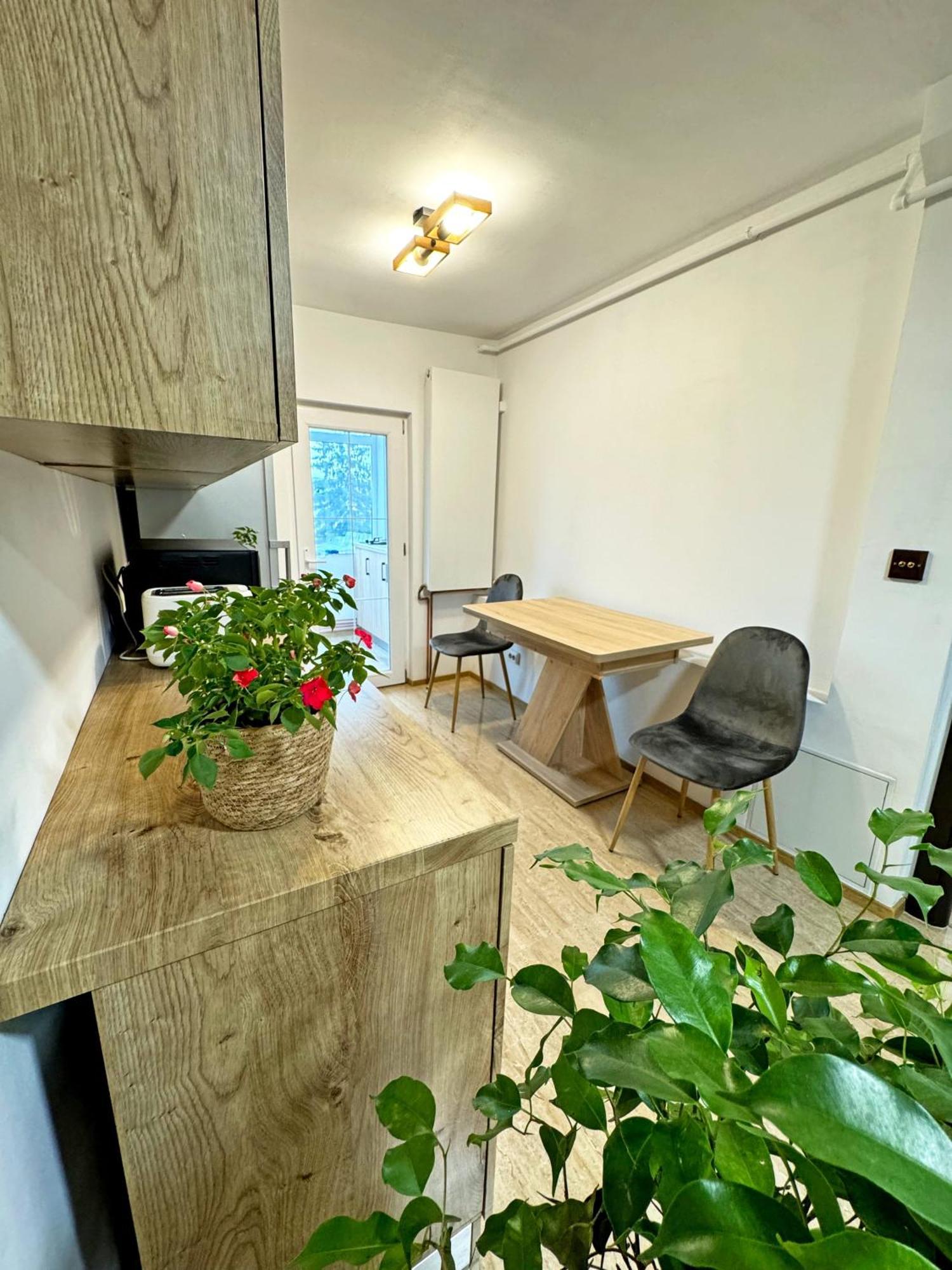 Ultracentral Apartment Targu Jiu Luaran gambar